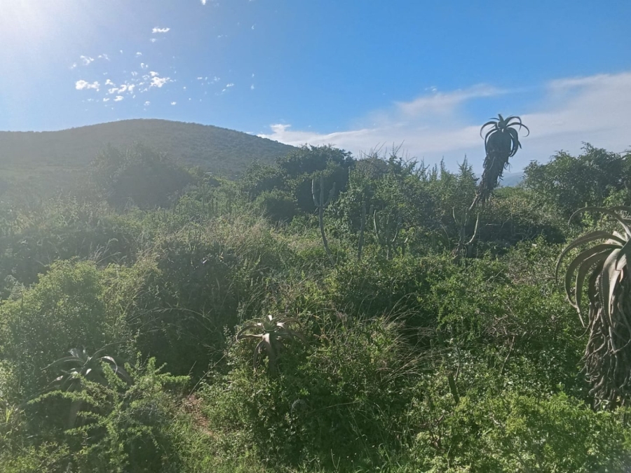 0 Bedroom Property for Sale in Alexander Park Industrial Eastern Cape